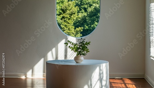 plant in a vase
