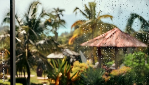 Window of a rainy day with the view of exotic garden