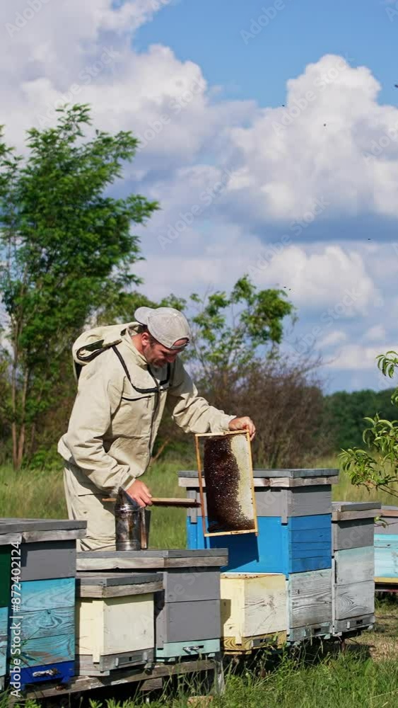 Beekeeper cleans a honey frame off bees with a big brush. Little rural bee farm in the nature backdrop. Vertical video Beekeeper cleans a honey frame off bees with a big brush. Little rural bee farm in the nature backdrop. Vertical video