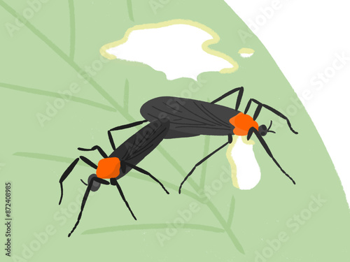 A Pair of Lovebugs Sitting on a Leaf