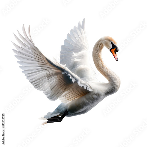 Elegant white swan in mid-flight with majestic wings spread wide, isolated on a white background, transparent background.