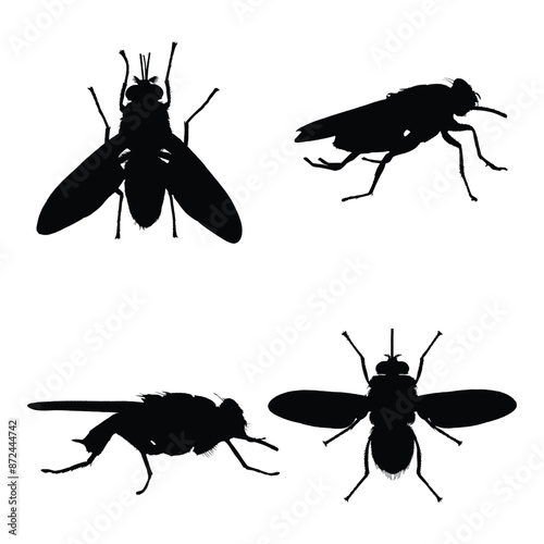 Tsetse Fly Silhouette Vector Illustration Set