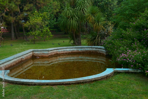 bonita piscina en el parque  photo