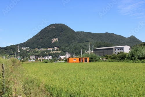 Orange shipping container units with rice fields and mountains in the background