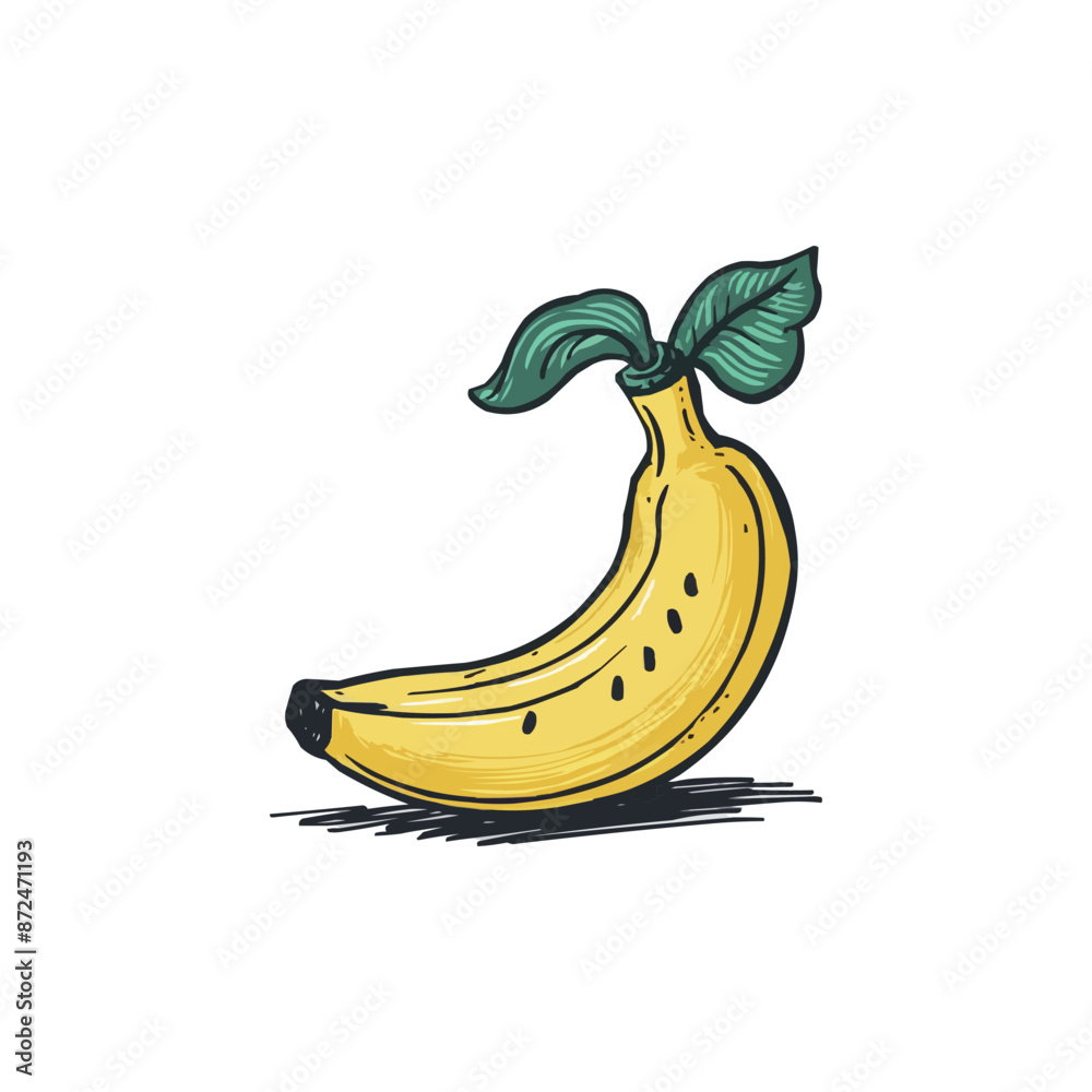 illustration of banana illustration of banana