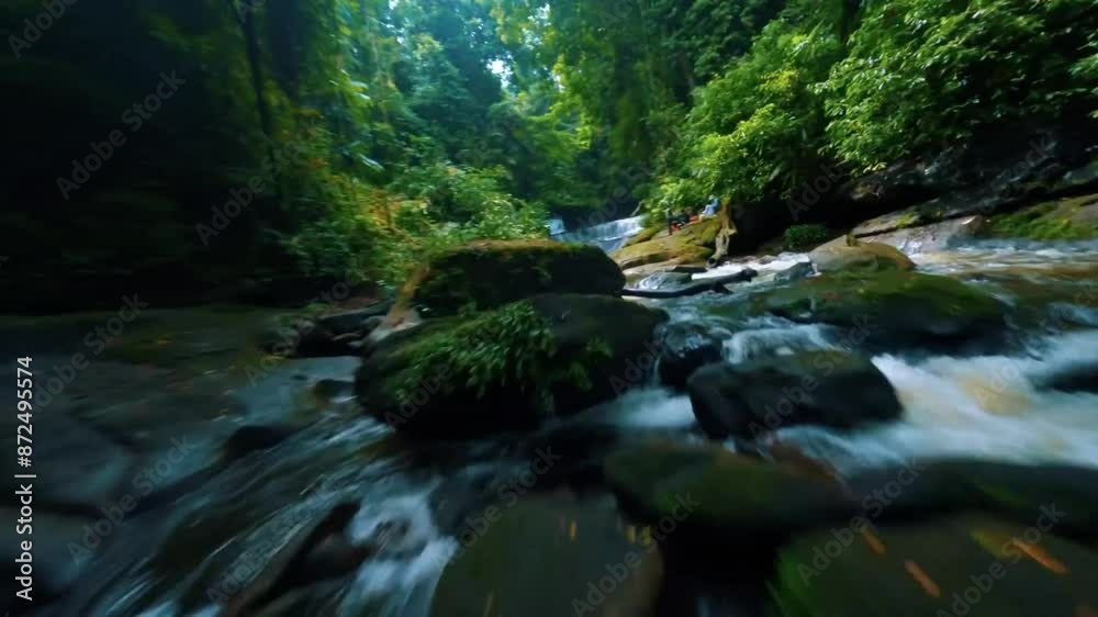 mountain river in the forest mountain river in the forest