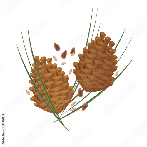 Vector illustration logo Clip art raw pine nuts or pine cone 