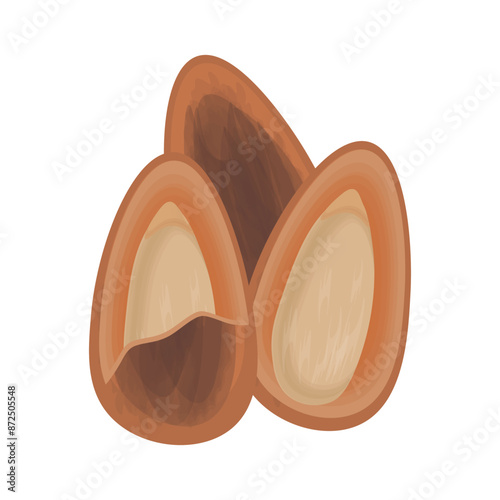 Vector illustration logo Clip art Peeled and whole pine nuts 