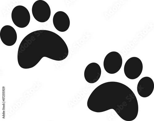 Cat And Dog Paw
