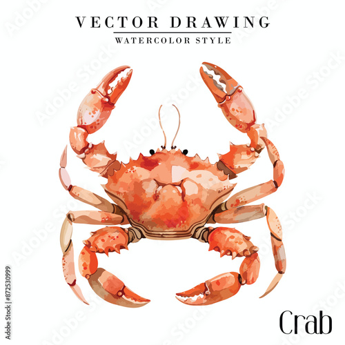 Crab Seafood vector vintage watercolor style 