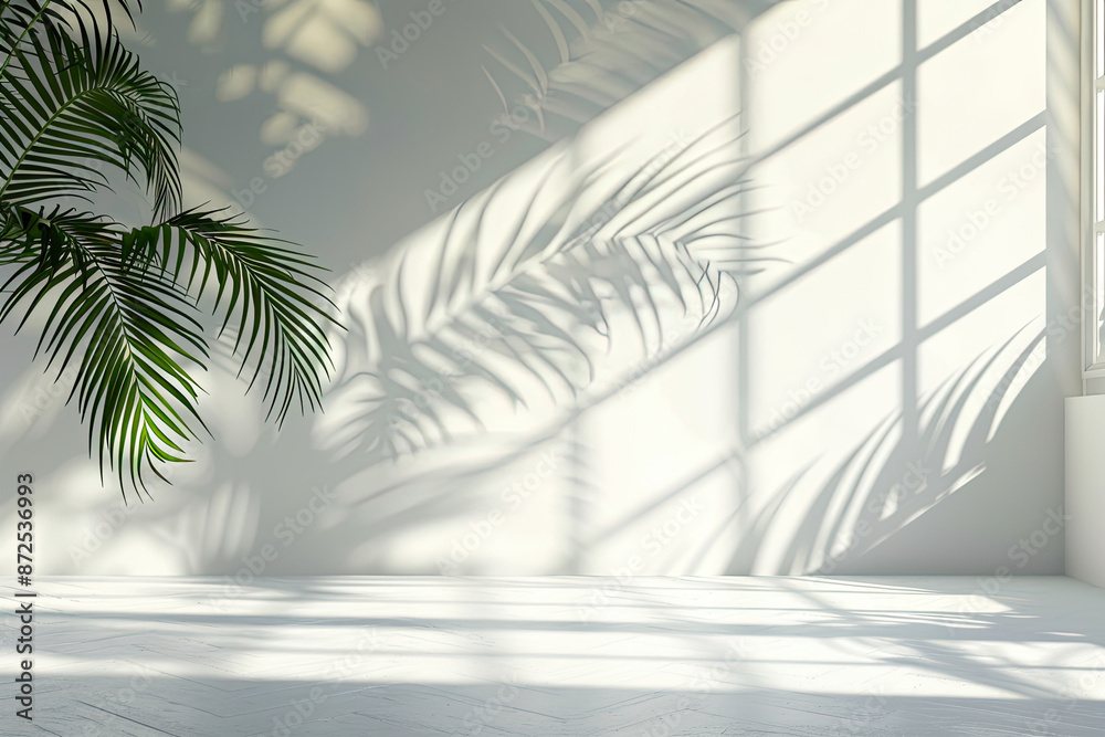 Palm Leaf Shadows on Light Beige Grunge Concrete, Abstract Texture and White Wall Background for Wallpaper Palm Leaf Shadows on Light Beige Grunge Concrete, Abstract Texture and White Wall Background for Wallpaper