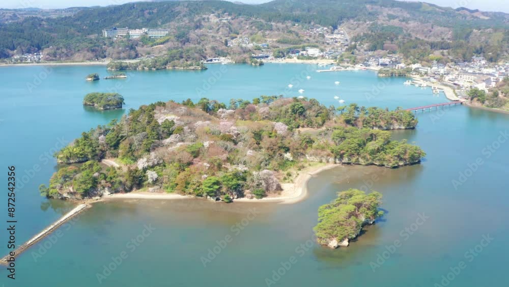 桜が咲く福浦島(宮城県松島町) 桜が咲く福浦島(宮城県松島町)