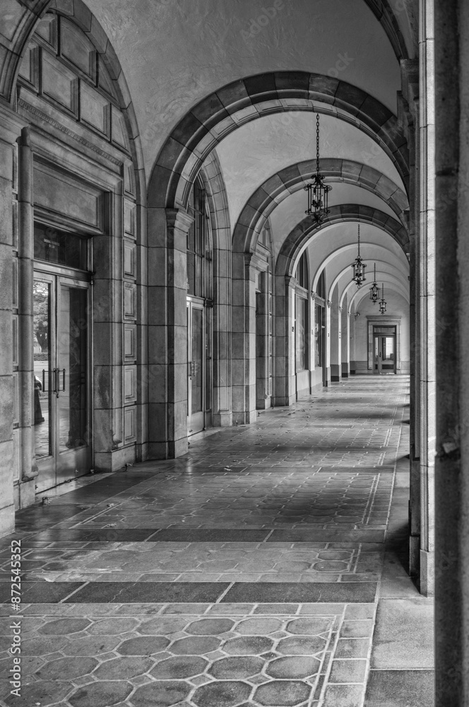 Black and White Profile of Roman Arches Along a Causeway. Black and White Profile of Roman Arches Along a Causeway.