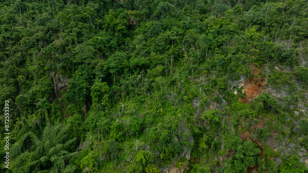 aerial view of dark green forest Abundant natural ecosystems of rainforest. Concept of nature forest preservation and reforestation