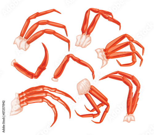 Set of boiled king crab legs collection, seafood crab meat with clipping path isolated on white background, restaurant menu, fish market, Fresh shellfish products, vector illustration.