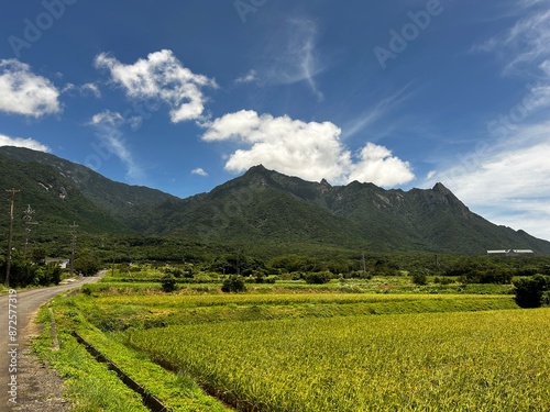 Yakushima is a World Heritage Site island located in Kagoshima Prefecture, Kyushu, Japan, is home to Yakusugi cedar trees over 1,000 years old, pristine beaches, and Japan's best sea turtle nesting si photo