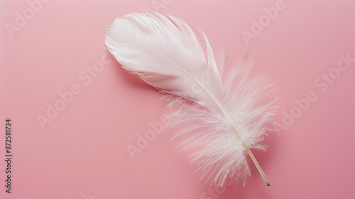 A feather delicately displayed against a soft pink background, symbolizing softness, tenderness, and lightness, evoking a sense of delicacy and gentleness.