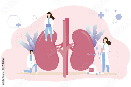 Kidney healthcare vector concept. Doctors search for information to diagnose urinary tract disease. kidney failure, kidney stones, Treatment of pyelonephritis, Medical concept.