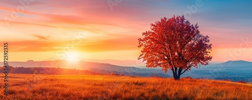 Sunset over a landscape of colorful autumn trees, warm hues, and scenic beauty, highlighting the vibrant and serene atmosphere of fall photo