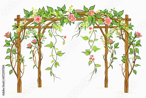 flowering vines draped over rustic trellises vector illustration