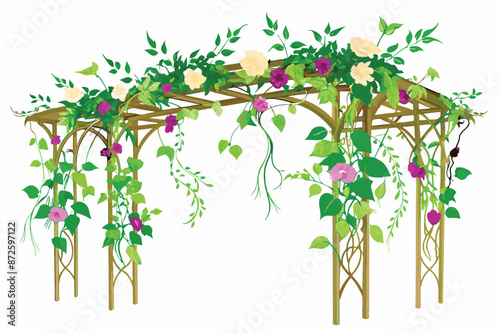 flowering vines draped over rustic trellises vector illustration