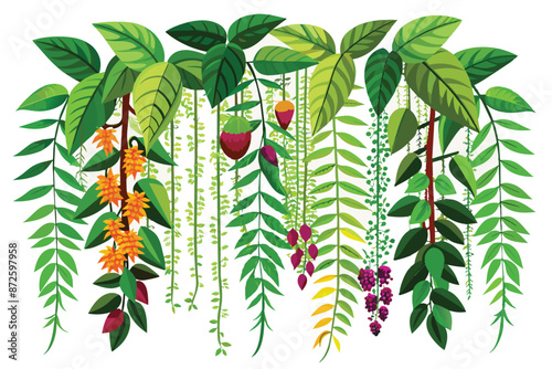 tropical creeper plants in a row vector illustration