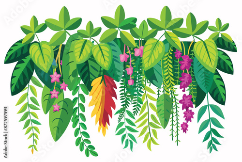 tropical creeper plants in a row vector illustration