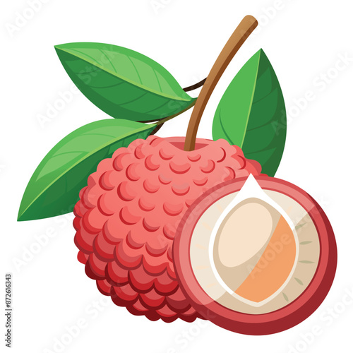 Vector illustration of a litchi fruit with a rough-closed pink-red rind and sweet flesh hanging from a tree branch