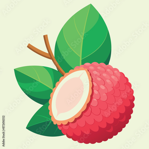 Vector illustration of a litchi fruit with a rough-closed pink-red rind and sweet flesh hanging from a tree branch