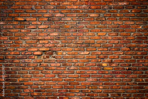 old brick wall as a backdro...