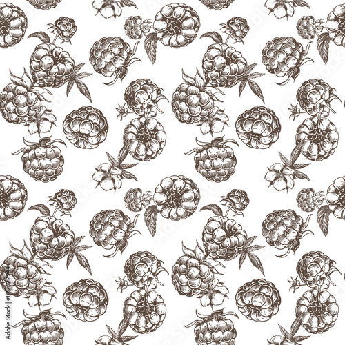 Raspberry seamless pattern. Vector drawing. Isolated sketch of berries and leaves in engraving style on white background. Detailed line sketch, hand drawn. The background for packaging design, labels.