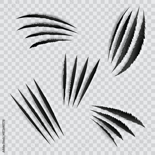 Claw marks in various styles on a transparent background. Vector