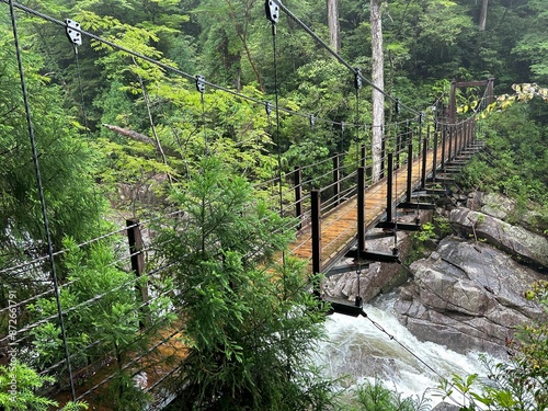 Yakusugi Land is a nature park populated by a number of yakusugi. The park is one of the most accessible places on Yakushima to see the ancient cedar trees. photo