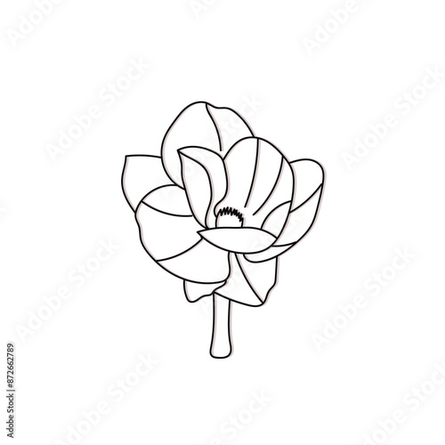 hand drawn flower