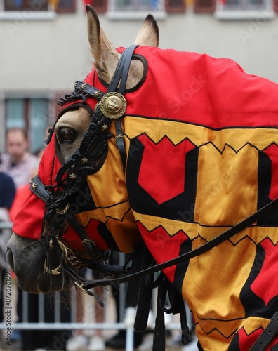 chevaux en tenue de tournois