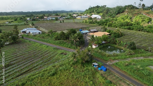 Kuching, Malaysia - July 4 2024: Aerial View of The Skuduk Paddy Field photo