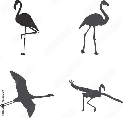silhouettes of flamingos