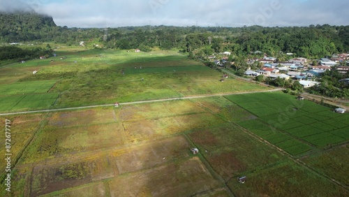 Kuching, Malaysia - July 4 2024: Aerial View of The Skuduk Paddy Field photo