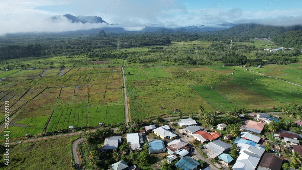 Kuching, Malaysia - July 4 2024: Aerial View of The Skuduk Paddy Field