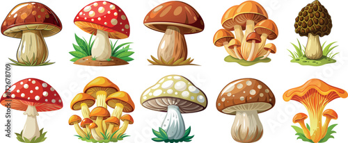 Set of different kinds of mushrooms vector