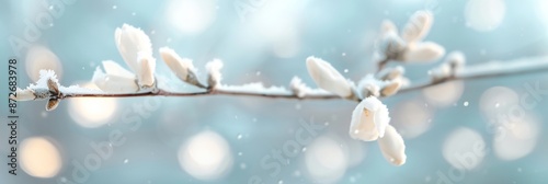 White winter honeysuckle (robai) on a frosty branch, light snow creating a peaceful setting, soft-focus background highlighting its fragrant and delicate beauty. photo
