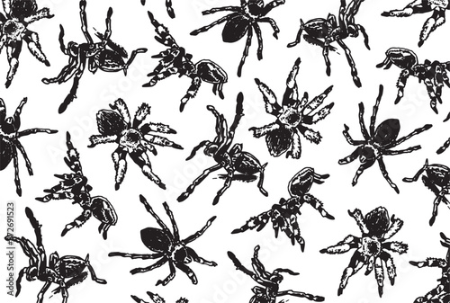 Graphical wallpaper design with tarantula spiders on white, background with spiders. Vector illustration