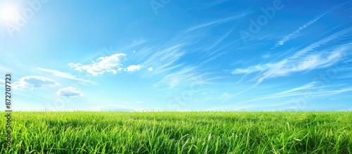 Summer landscape featuring ...