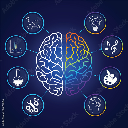 brain7