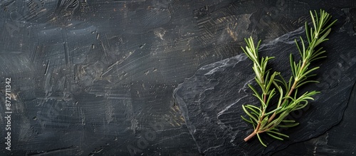 A sprig of fresh rosemary d...