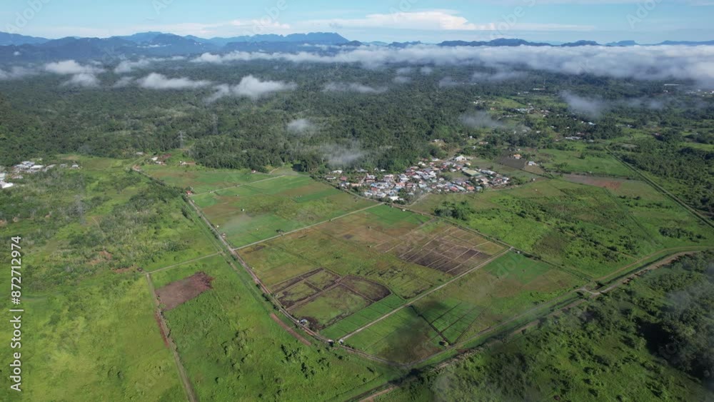 Kuching, Malaysia - July 4 2024: Aerial View of The Skuduk Paddy Field Kuching, Malaysia - July 4 2024: Aerial View of The Skuduk Paddy Field