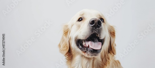 Looks cheerful, delighted. ...