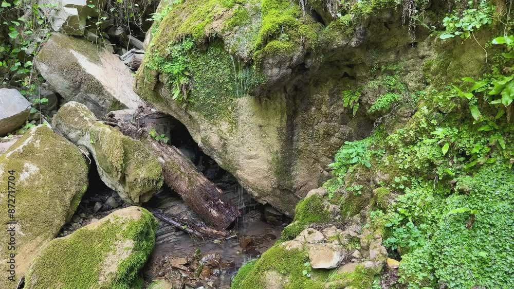 Waterfall in the forest in summer. River with stones. Waterfall in the forest in summer. River with stones.