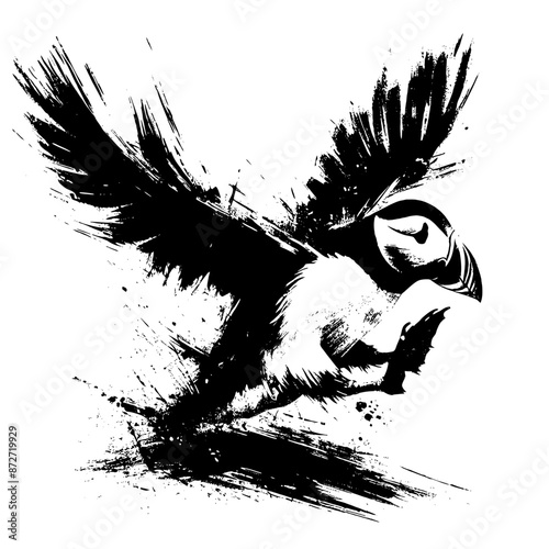 puffin in illustration in brush stroke painting, photo