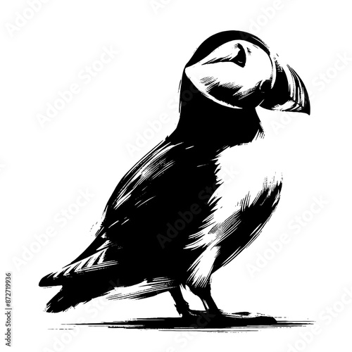 puffin in illustration in brush stroke painting,